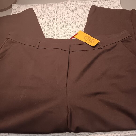 Ruby Rd. women's plus size brown flat front dress pants sz 22W - READ! - Picture 6 of 10